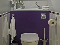 WiCi Bati, combiné WC suspendu lave-mains- Monsieur D (86)
